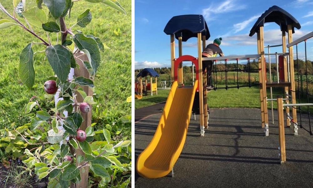 Stand from the Centre Circle